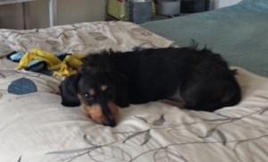 Phin thinking up ways to live forever