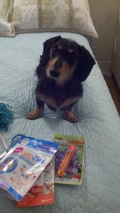 This picture of him is from last year when we were snowed into our apartment in NYC