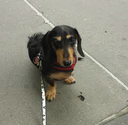 Go ahead, illness. You don't stand a chance against this heart.