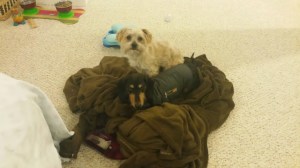 Phin and his pal, Otis