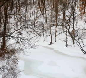 Screen Shot 2016-01-26 at 8.53.57 PM