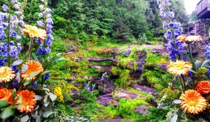 Photo by Christa Avampato. 