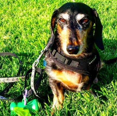 17966431_10103483136139066_2426168727783337881_o