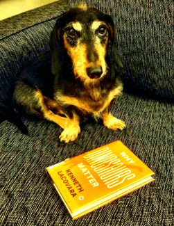 Screen Shot 2017-10-08 at 7.10.50 PM