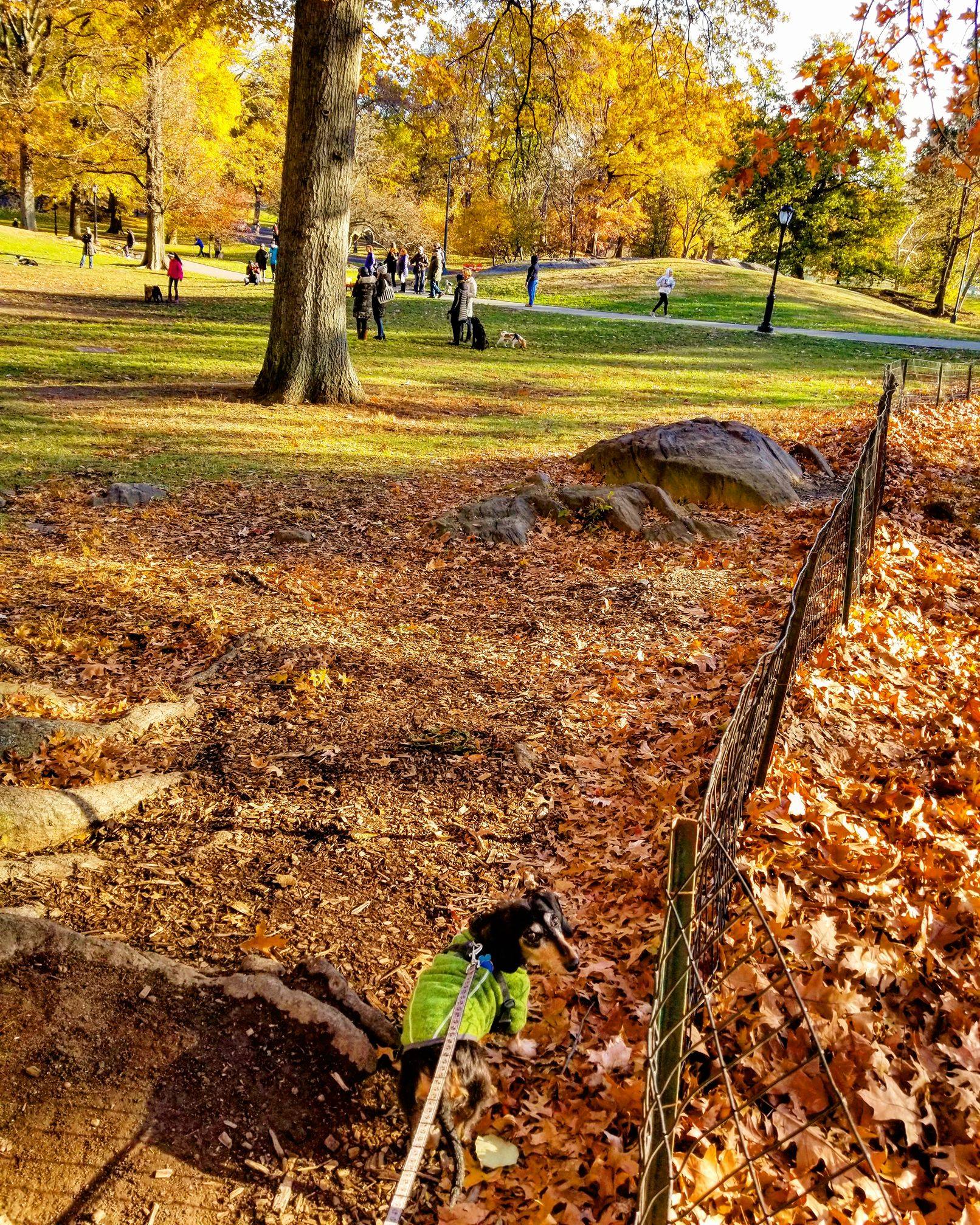 23737930_10104014965393976_7867983202038481308_o