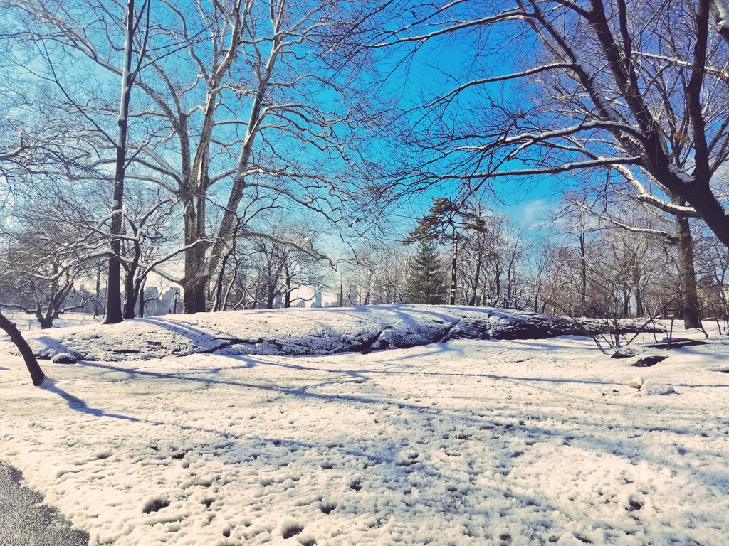Central Park after this week's storm.
