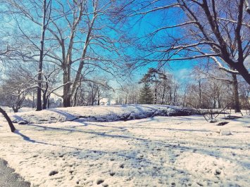 Central Park after this week's storm.