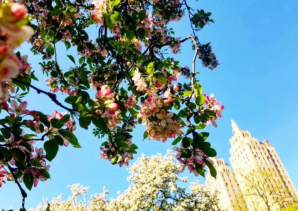 31913922_10104327990613926_1452728582852837376_n