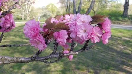 31944171_10104327990723706_4679630786142404608_n