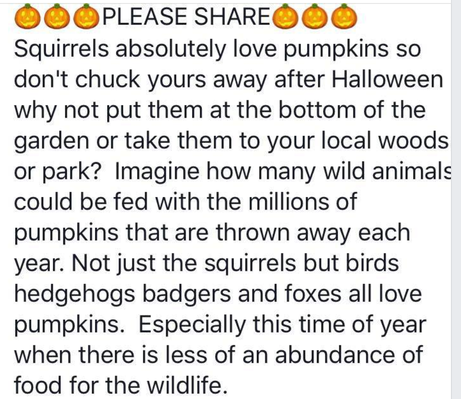 Screen Shot 2019-10-15 at 4.24.54 PM