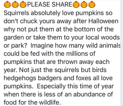 Screen Shot 2019-10-15 at 4.24.54 PM