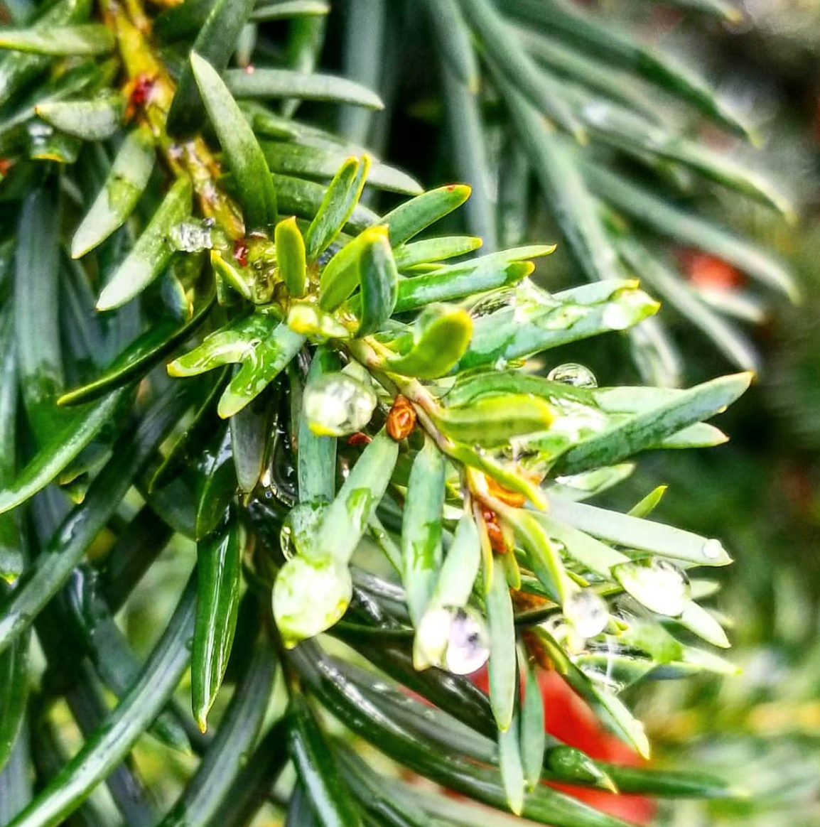 Screen Shot 2019-12-21 at 10.03.20 AM