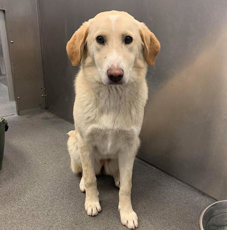 Screen Shot 2020-03-14 at 8.54.32 AM